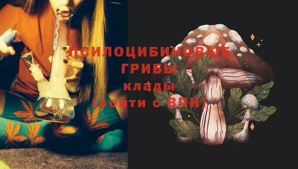 ALPHA-PVP Белокуриха